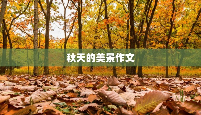 秋天的美景作文