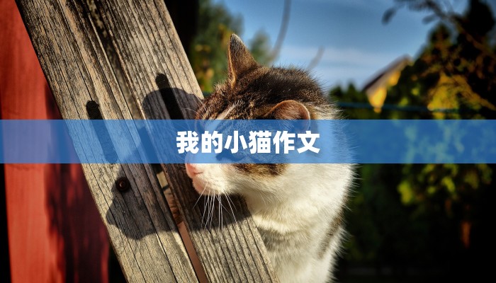 服装处理批发：高效解决库存难题的秘密武器