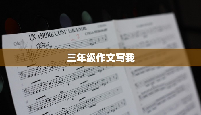 三年级作文写我
