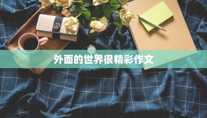 外面的世界很精彩作文