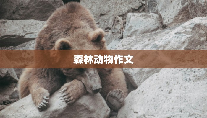 森林动物作文