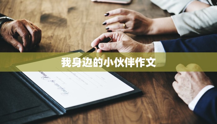 我身边的小伙伴作文