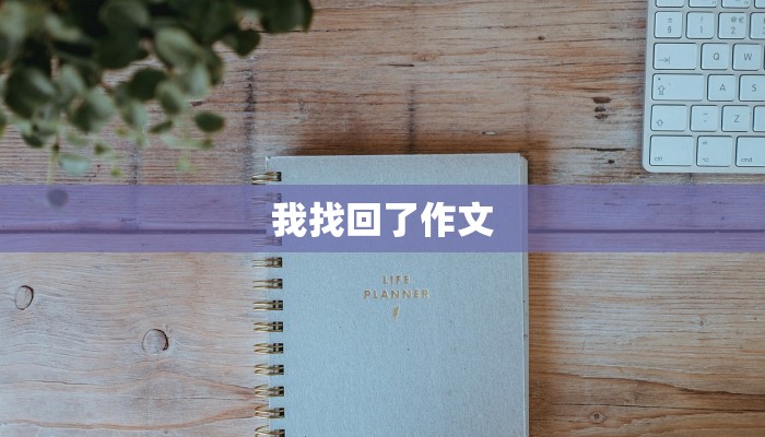 我找回了作文
