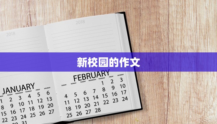 新校园的作文