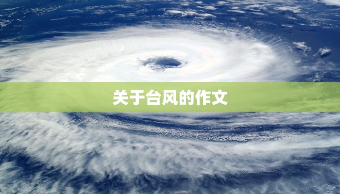 关于台风的作文