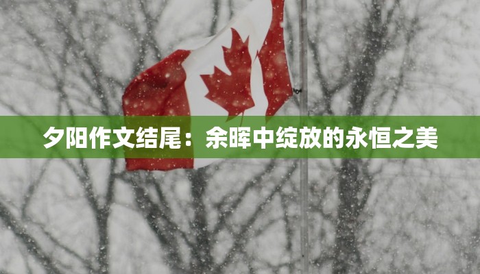 夕阳作文结尾：余晖中绽放的永恒之美